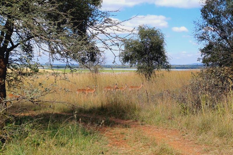 3 Bedroom Property for Sale in Vaalkop Dam North West
